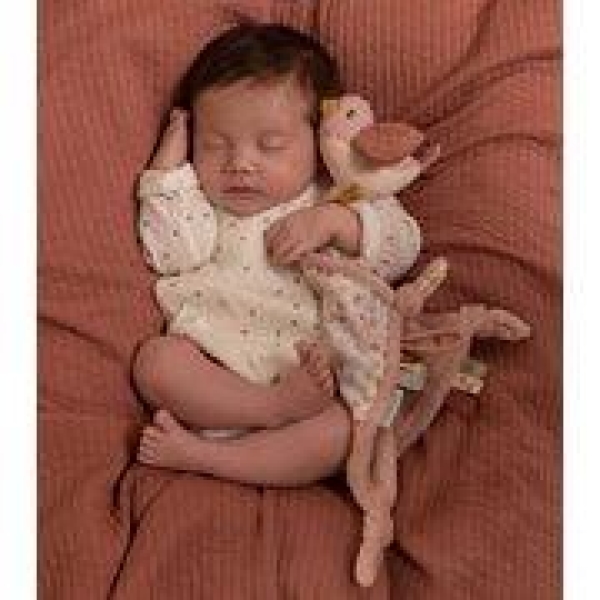 Little Dutch, Nusseklud Flowers & Butterflies - Bilde 2