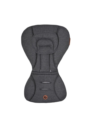 Easygrow Minimizer sittepute NY 2024, Anthracite